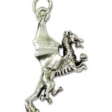 Pandantiv amuleta din argint pentru atingerea obiectivelor Rob Ray Simboluri Mistice - Dragonul Pier